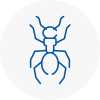 Ant Removals In Warsop