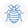 Bed Bug Extermination In Warsop