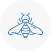 Bee Nest Removal Warsop