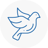 Bird Prevention Warsop