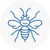 Warsop Hornet Nest Removals