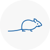 Mice Exterminators In Warsop