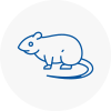Rat Control Warsop