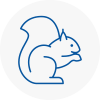 Warsop Rodent Removals