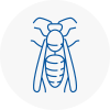 Warsop Wasp Nest Removal